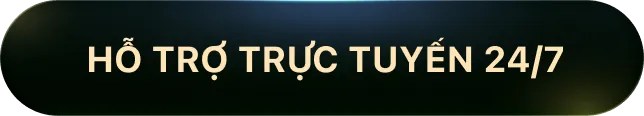 hỗ trợ trực tuyến