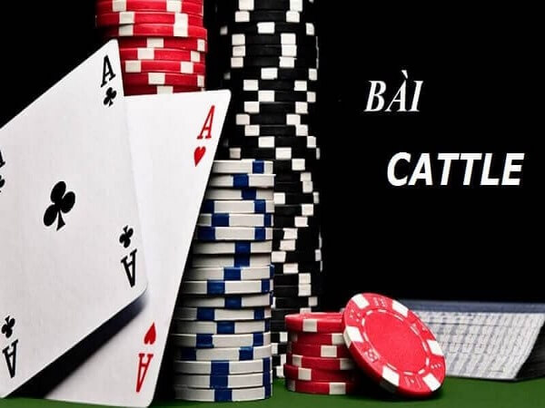 Hiện nay có khá nhiều biến của thể bài catte