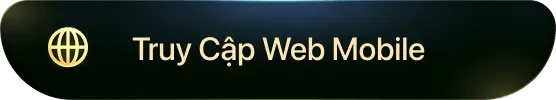 truy cập web